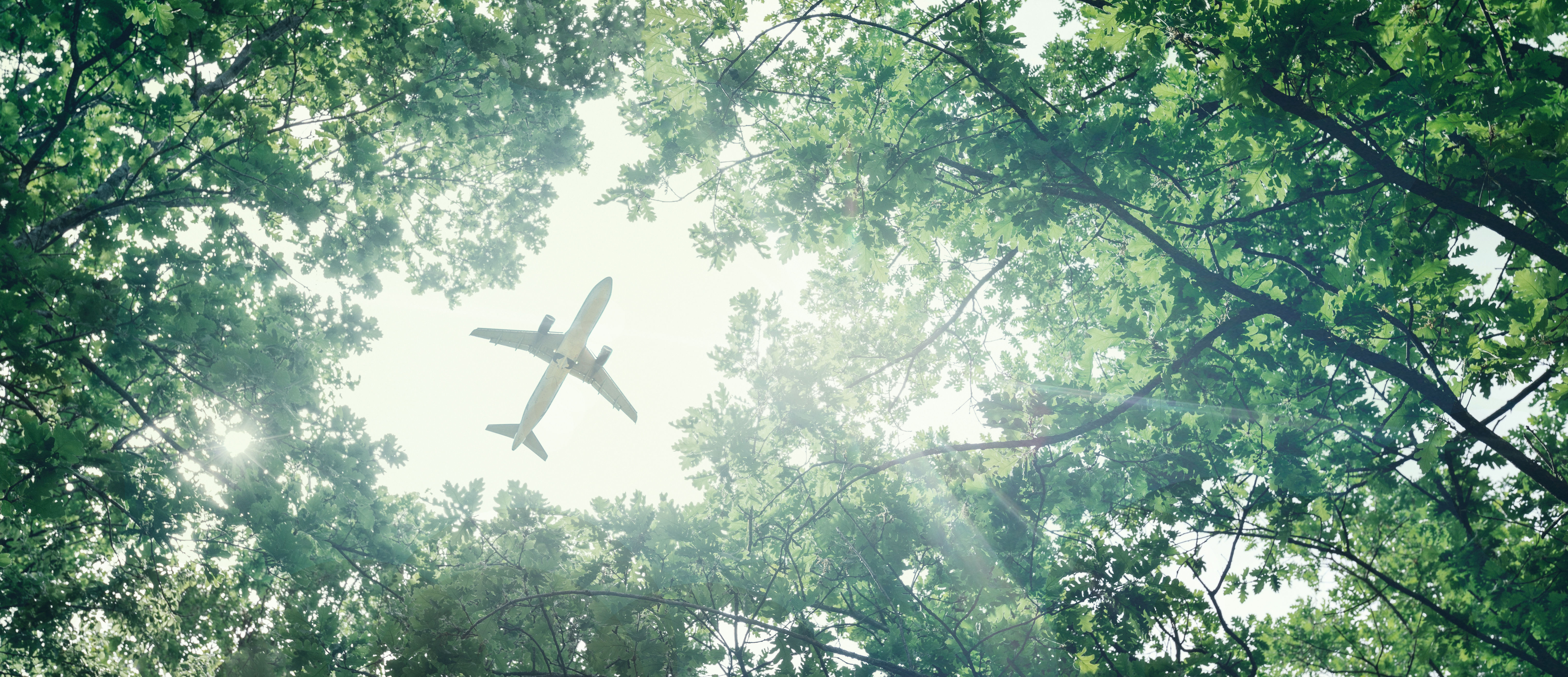 Carbon Offsets for Aviation