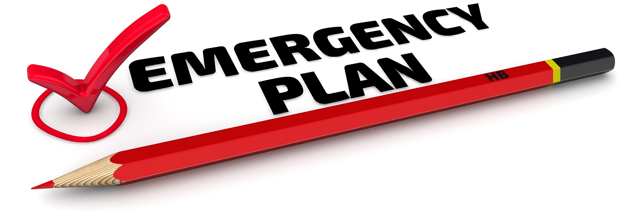 Airline Emergency Planning and Response Management