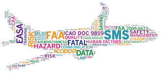 Safety Management System for Senior Management - Recurrent