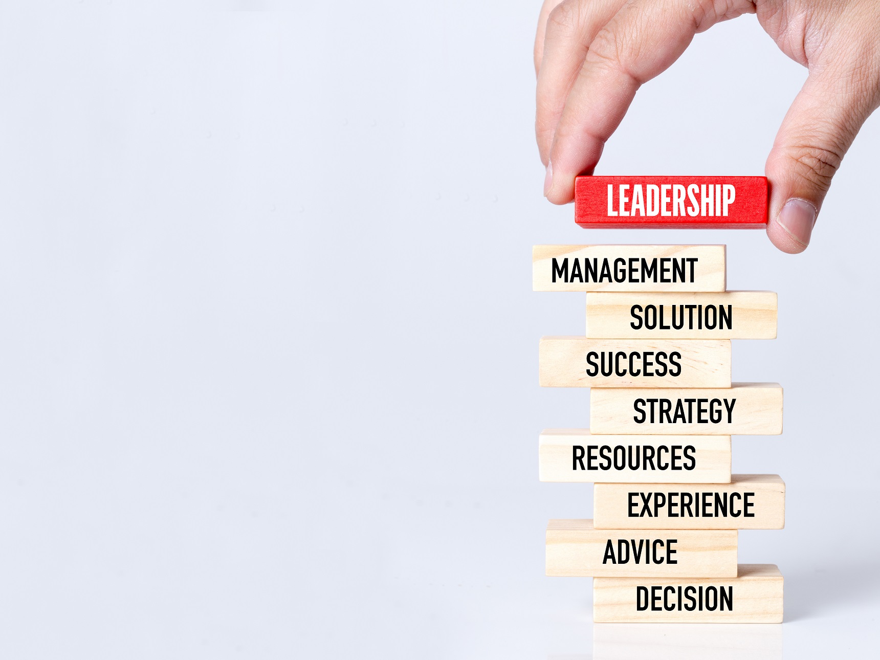 Executive Leadership & Management